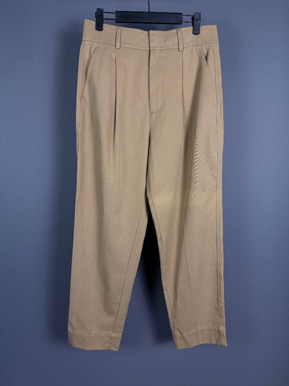 Everlane Women’s Size 6 Tan TENCEL Pleated Tapered Pants Trousers